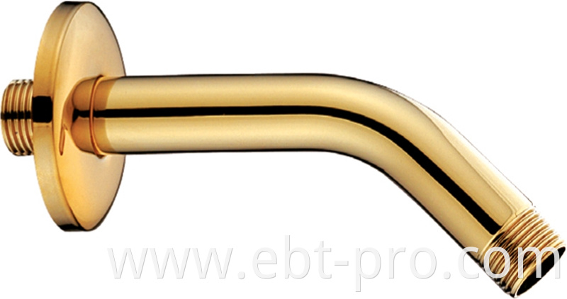 Brass Shower Arm in PVD